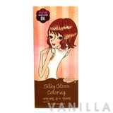 Etude House Silky Gloss Coloring
