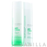Aviance Micro Cream Shampoo Anti Sebum