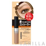 Kiss Me Heavy Rotation Eyebrow Concealer