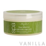 H2O+ Sea Marine Triple Butter Sugar Scrub