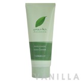 The Face Shop Phyto Powder in Foam Cleanser Greentea