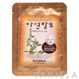 Baviphat Natural Fermented Essentiale Mask Sheet (Applemint)