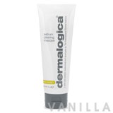 Dermalogica Sebum Clearing Masque