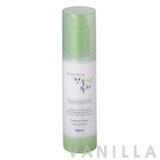 Welcos Spring Leaves of Green Tea Make-up Base