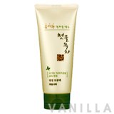 Welcos Spring Leaves of Green Tea Pure Clean Pore Pack