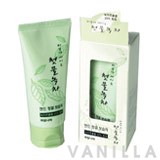 Welcos Spring Leaves of Green Tea Hand Cleaning Moisturizer