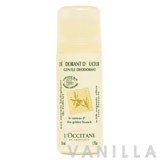 L'occitane Olive Tree Organic Gentle Deodorant
