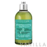 L'occitane Anti-Danruff Shampoo for Sensitive Scalp