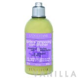 L'occitane Soothing Conditioner for Sensitive or Irritated Scalp
