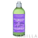 L'occitane Soothing Shampoo for Sensitive or Irritated Scalp