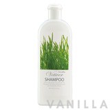 Giffarine Vetiver Shampoo