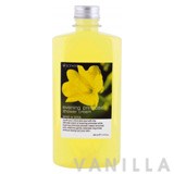 Scentio Evening Primrose Shower Cream