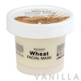 Scentio Wheat Smoothing Facial Mask 