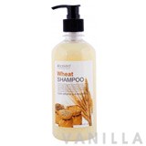 Scentio Wheat Color Enhancing and Nourishing Shampoo