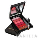 Nutrimetics Beauty Perfection Lipstick Palette