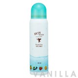 Skinfood Facial Ice Vita Mist