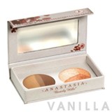 Anastasia Highlighting Brow Kit