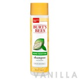 Burt's Bees More Moisture Baobab Shampoo