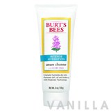 Burt's Bees Intense Hydration Cream Cleanser