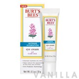 Burt's Bees Intense Hydration Eye Cream