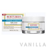 Burt's Bees Intense Hydration Night Cream