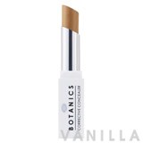 Boots Botanics Concealer