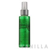 Earths Apple No More Hair Loss Hair Mist