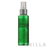 Earths Apple No More Hair Loss Hair Mist 