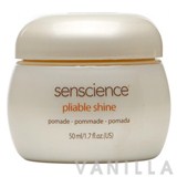 Shiseido Professional Pliable Shine