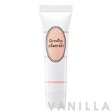 Giffarine Blemish Cream