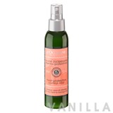 L'occitane Aromachologie Brume Disciplinante Termo Protettrice