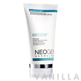 Neogen Blemish Soothing Foam Cleansing