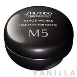 Shiseido Professional Stage Works True Effector (Matte) M5