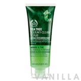 The Face Shop Tea Tree Squeaky-Clean Scrub