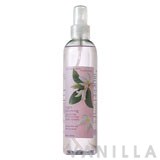 Bath & Body Works Night-Blooming Jasmine Body Splash