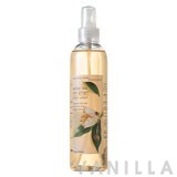 Bath & Body Works White Tea & Ginger Body Splash