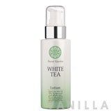 Etude House White Tea Lotion