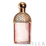 Guerlain Aqua Allegoria Figue Iris