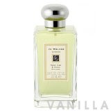 Jo Malone Sweet Lime & Cedar Cologne