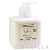 L'occitane Olive Daily Hand Lotion