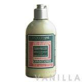 L'occitane Conditioner for Dry & Damaged Hair