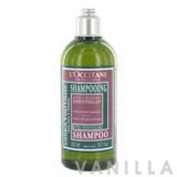 L'occitane Shampoo for Normal & Fine Hair