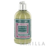 L'occitane Conditioner for Normal & Fine Hair