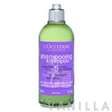 L'occitane Aromachologie Soothing Shampoo
