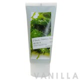 The Face Shop Home Aesthetic Smooth Seaweed Pack