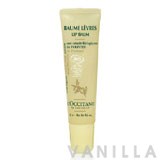 L'occitane Organic Olive Lip Balm