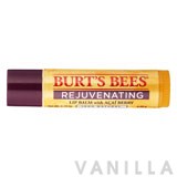 Burt's Bees Rejuvenating Lip Balm with Acai Berry