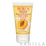 Burt's Bees Peach & Willowbark Deep Pore Scrub