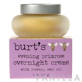 Burt's Bees Evening Primrose Overnight Creme 