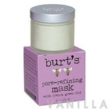 Burt's Bees Pore Refining Mask